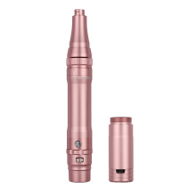 Solong 2019 Hot Sell Wireless Rose Golden Permanent Eyebrow Makeup Pen with Needle Cartridge